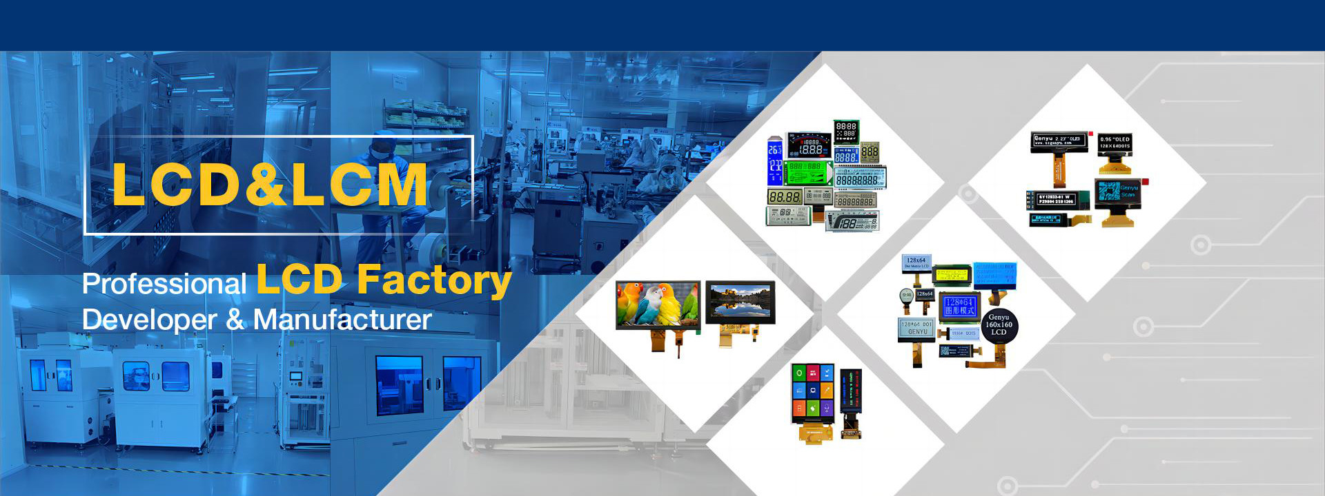 Qualität Benutzerdefiniertes Segment-LCD-Display usine