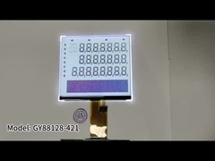 Segment COG-LCD-Modul FSTN 24pins FPC 5,5 Zoll LCD-Display für elektronische Skala