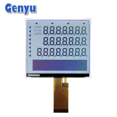 Segment COG-LCD-Modul FSTN 24pins FPC 5,5 Zoll LCD-Display für elektronische Skala