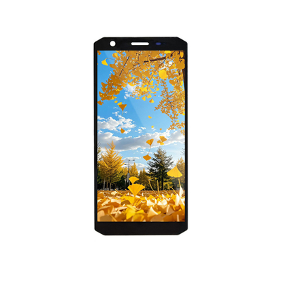 Ein guter Preis. 5.45 Zoll TFT-LCD-Displaymodul 720x1440 MIPI-Schnittstelle Online